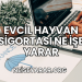 Evcil Hayvan Sigortası Ne İşe Yarar