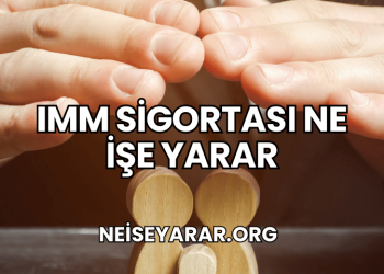 IMM Sigortası Ne İşe Yarar