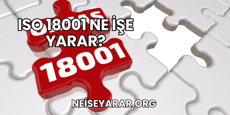 ISO 18001 Ne İşe Yarar?