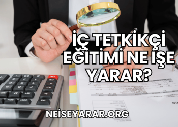 İç Tetkikçi Eğitimi Ne İşe Yarar?