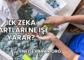İlk Zeka Kartları Ne İşe Yarar?