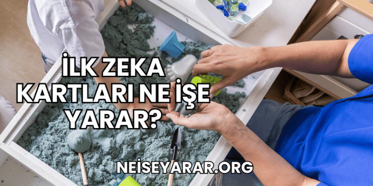İlk Zeka Kartları Ne İşe Yarar?