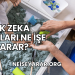 İlk Zeka Kartları Ne İşe Yarar?