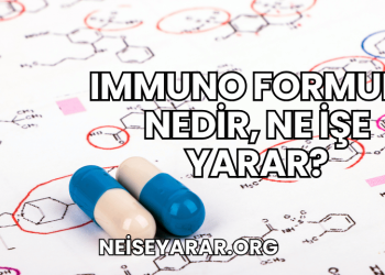 Immuno Formula Nedir, Ne İşe Yarar?