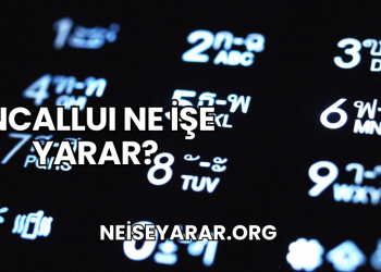 IncallUI Ne İşe Yarar?