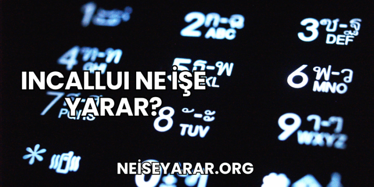 IncallUI Ne İşe Yarar?