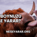 İnek Boynuzu Ne İşe Yarar?