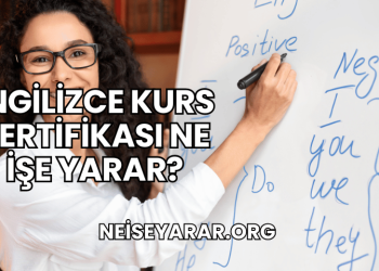 İngilizce Kurs Sertifikası Ne İşe Yarar?