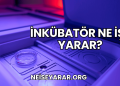 İnkübatör Ne İşe Yarar?