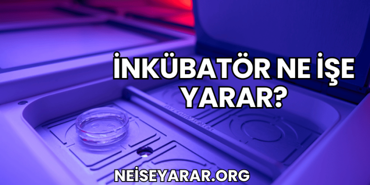 İnkübatör Ne İşe Yarar?