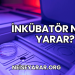 İnkübatör Ne İşe Yarar?