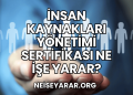 İnsan Kaynakları Yönetimi Sertifikası Ne İşe Yarar?