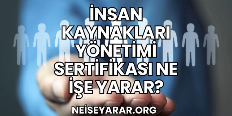 İnsan Kaynakları Yönetimi Sertifikası Ne İşe Yarar?