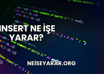 Insert Ne İşe Yarar?