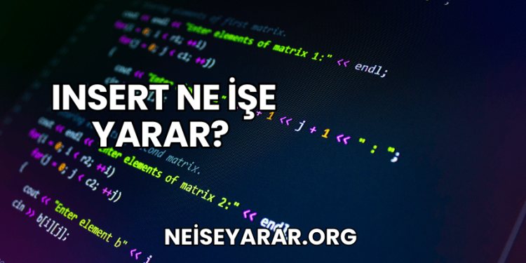 Insert Ne İşe Yarar?
