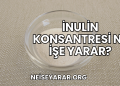 İnulin Konsantresi Ne İşe Yarar?