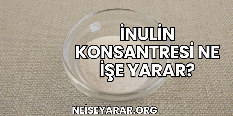 İnulin Konsantresi Ne İşe Yarar?