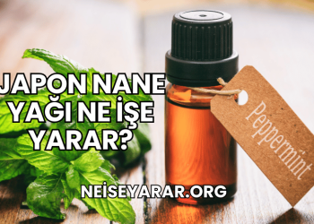 Japon Nane Yağı Ne İşe Yarar?