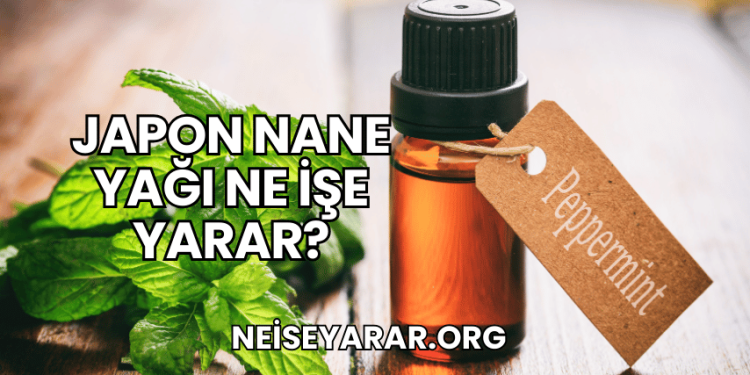 Japon Nane Yağı Ne İşe Yarar?