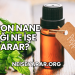 Japon Nane Yağı Ne İşe Yarar?