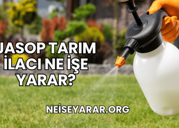 Jasop Tarım İlacı Ne İşe Yarar?