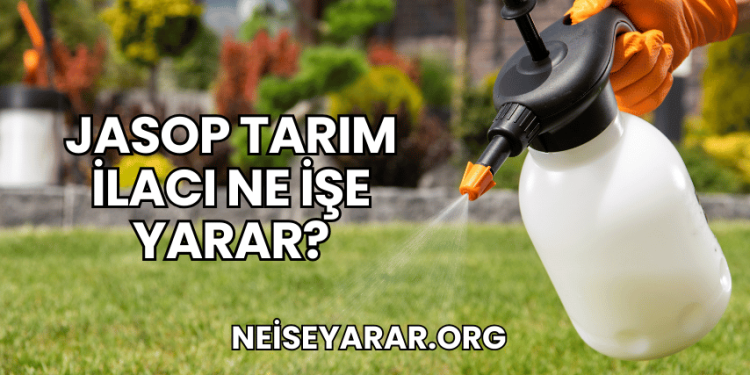 Jasop Tarım İlacı Ne İşe Yarar?