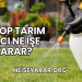 Jasop Tarım İlacı Ne İşe Yarar?