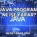 Java Programı Ne İşe Yarar?