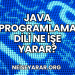 Java Programlama Dili Ne İşe Yarar?