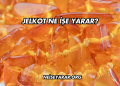 Jelkot Ne İşe Yarar?