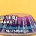 Jöle Ne İşe Yarar?