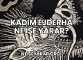 Kadim Ejderha Ne İşe Yarar?