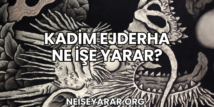 Kadim Ejderha Ne İşe Yarar?