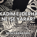 Kadim Ejderha Ne İşe Yarar?