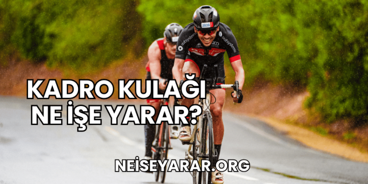 Kadro Kulağı Ne İşe Yarar?