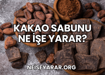 Kakao Sabunu Ne İşe Yarar?