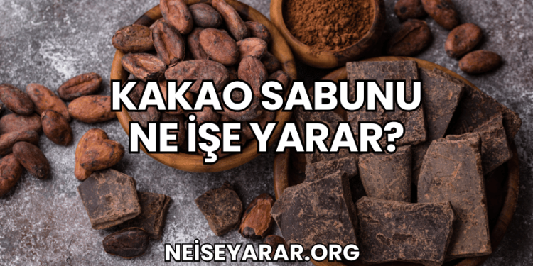Kakao Sabunu Ne İşe Yarar?