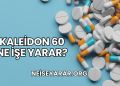 Kaleidon 60 Ne İşe Yarar?