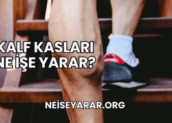 Kalf Kasları Ne İşe Yarar?