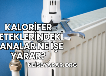 Kalorifer Peteklerindeki Vanalar Ne İşe Yarar?