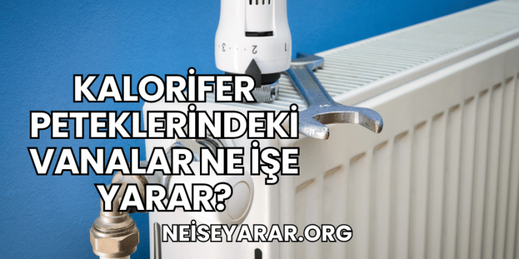 Kalorifer Peteklerindeki Vanalar Ne İşe Yarar?