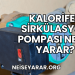 Kalorifer Sirkülasyon Pompası Ne İşe Yarar?