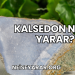 Kalsedon Ne İşe Yarar?