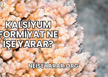 Kalsiyum Formiyat Ne İşe Yarar?