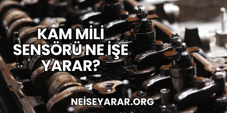Kam Mili Sensörü Ne İşe Yarar?