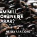 Kam Mili Sensörü Ne İşe Yarar?