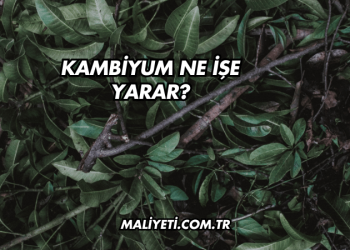 Kambiyum Ne İşe Yarar?