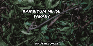 Kambiyum Ne İşe Yarar?