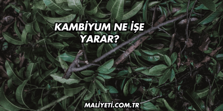 Kambiyum Ne İşe Yarar?