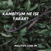 Kambiyum Ne İşe Yarar?